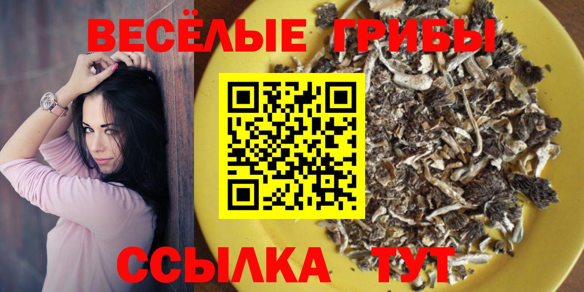 Галлюциногенные грибы MAGIC MUSHROOMS Майский