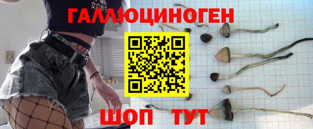 Галлюциногенные грибы GOLDEN TEACHER  Псилоцибиновые грибы мицелий  Майский  Вход с VPN 